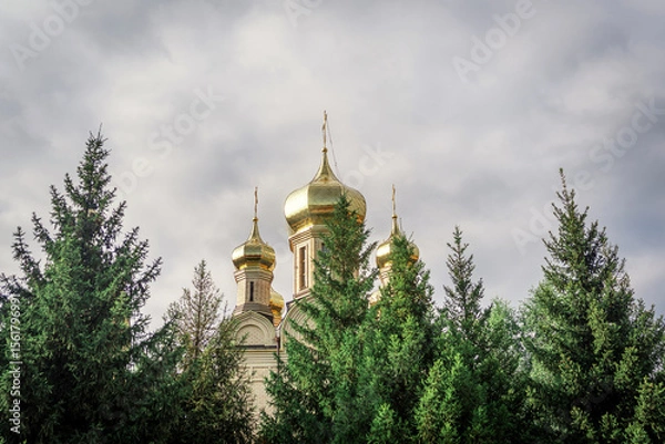 Fototapeta Orthodox church domes behind trees, overcast sky. Religious architecture.