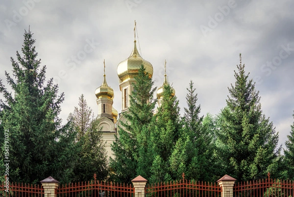 Fototapeta Orthodox church domes behind trees, overcast sky. Religious architecture.