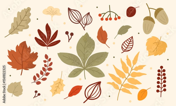 Fototapeta A vibrant collection of autumn leaves in varying colors and shapes arranged artistically. The display highlights the beauty of fall foliage and nature's intricate details.