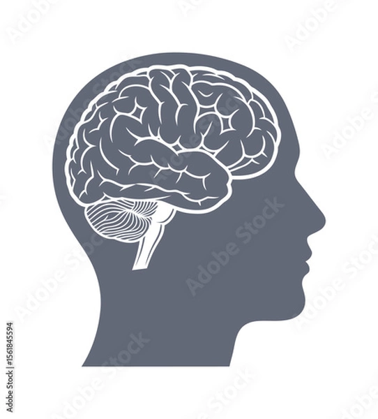 Fototapeta Head with the brain silhouette. Hyman head profile. Vector. EPS 10