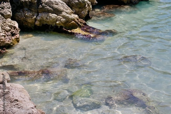 Obraz picture from salentinian see