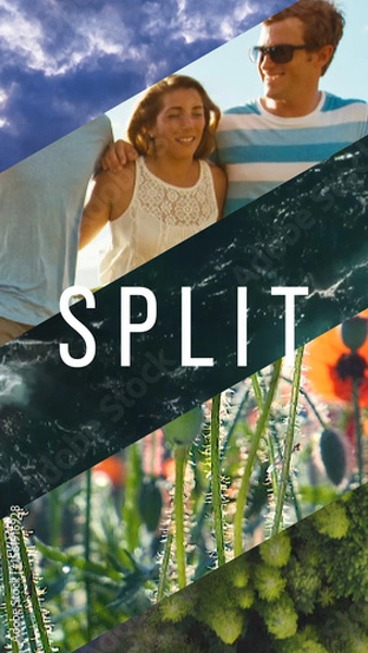 Fototapeta Multi Split Media Transition Vertical