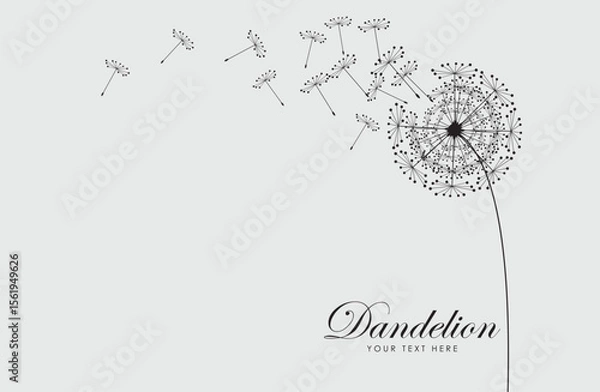Fototapeta Vector illustration dandelion seed blowing in the wind. Dandelion on a white background.