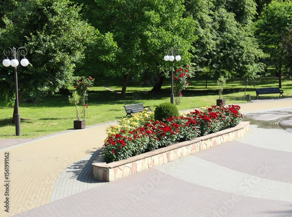 Fototapeta Design of landscaping in the garden, park, square, recreation area