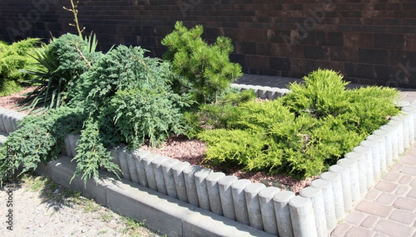 Fototapeta Design of landscaping in the garden, park, square, recreation area