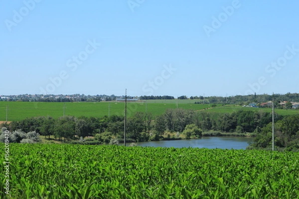Obraz A river with trees and grass