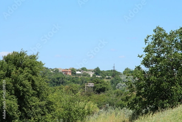 Obraz A landscape with trees and bushes