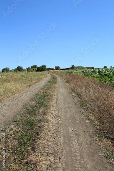 Obraz A dirt road with grass and trees