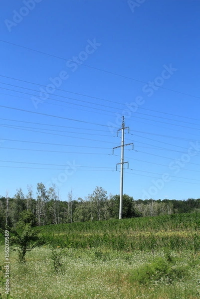 Obraz Power lines in a field