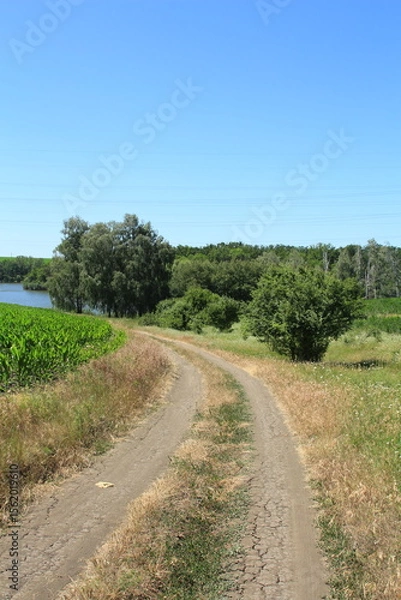Obraz A dirt road with trees and grass