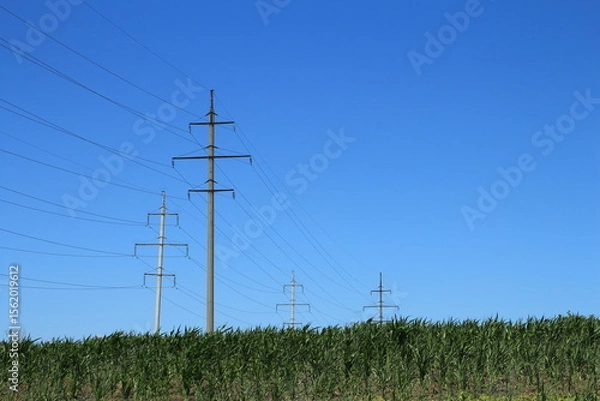 Obraz Power lines in a field