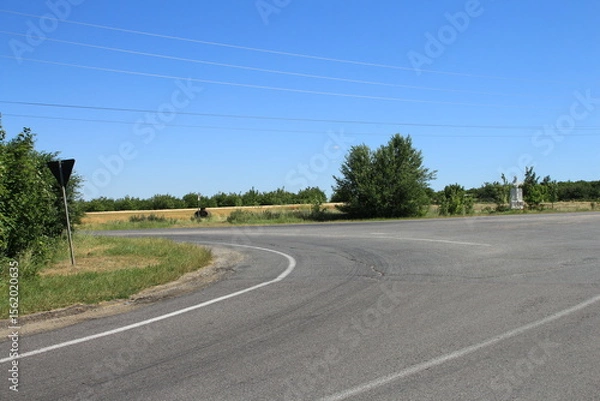 Obraz A road with trees on the side