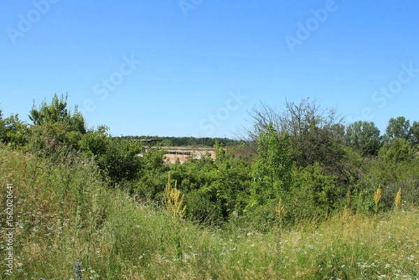Obraz A grassy area with trees and a building in the background