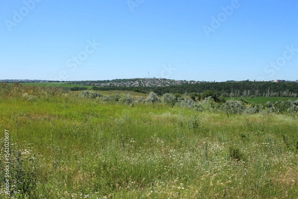 Obraz A grassy field with a hill in the background