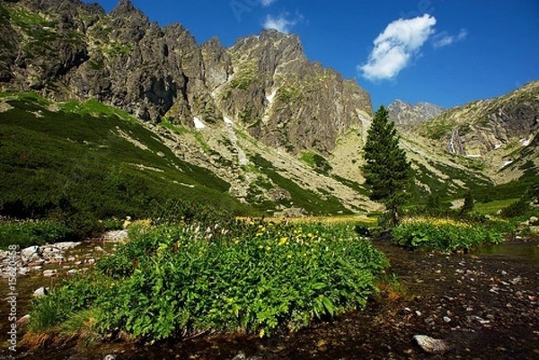 Obraz mountain creek scenery