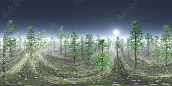 Fototapeta Trees in the fog. Environment map. HDRI map. equidistant projection. Spherical panorama. landscape
3D rendering