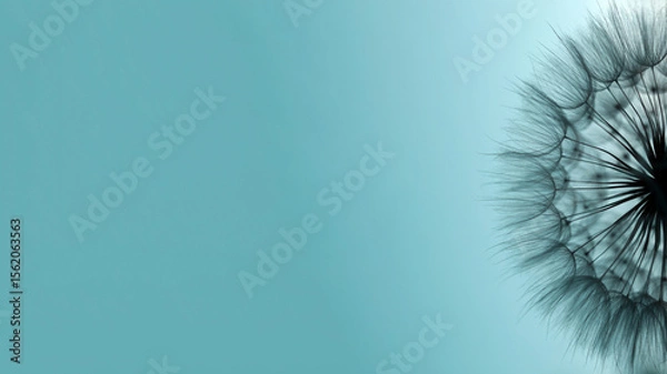 Fototapeta Dandelion seeds in extreme close-up against turquoise background . Soft textures, airy lines, and minimalist natural background for creative design.