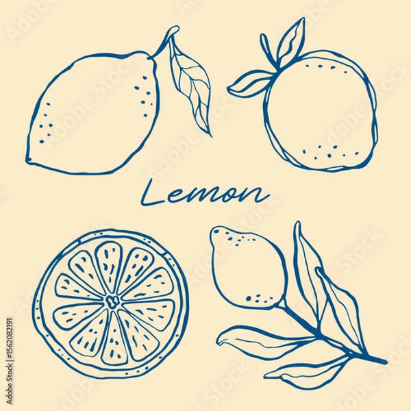 Obraz Whimsical hand drawn ink line art with mediterranean lemons and lemon slices in trendy retro style