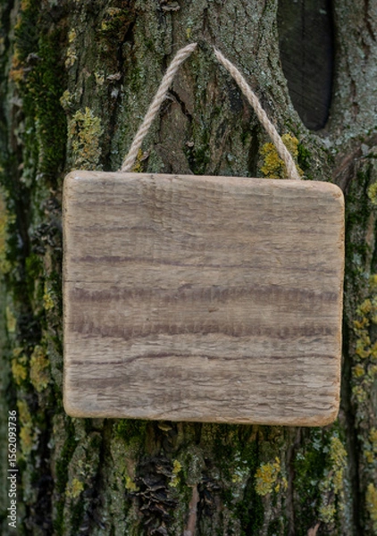 Obraz Rustic old wooden empty board hangs on tree