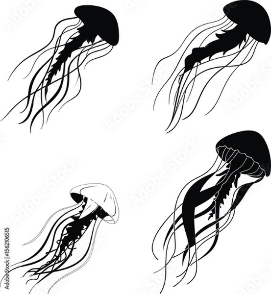 Fototapeta Artistic illustration of several stylized black and white jellyfish on a white background
