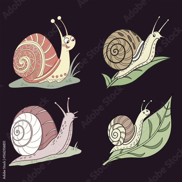 Fototapeta Close-up of a snail on a white background,silhouette