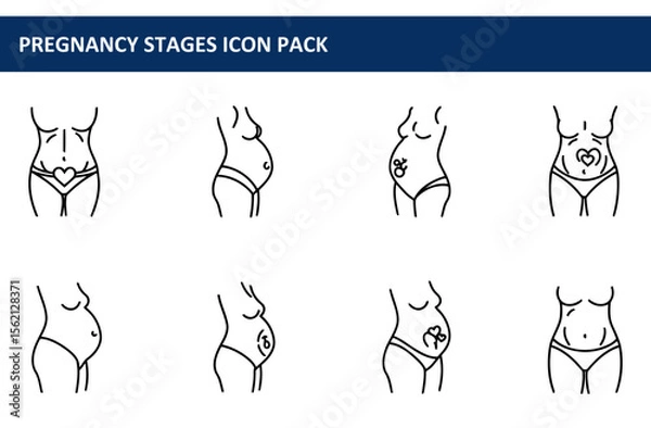 Obraz Pregnant female figures in various stages of pregnancy, side view, illustrating the progression of the pregnancy.
