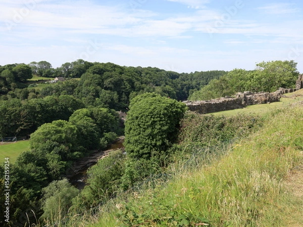 Obraz landscape with trees
