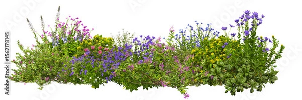 Obraz 3D render of flowering shrubs on a transparent background	