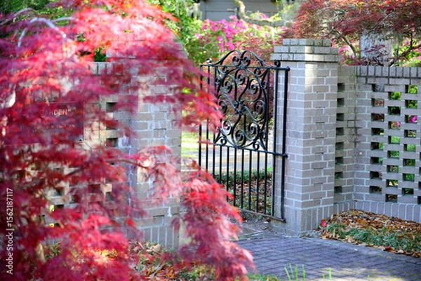 Fototapeta Beautiful southern low country garden scape of live oak trees, azaleas, and Spanish moos making an idealic serene antebellum atmosphere. 