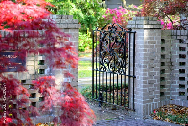 Fototapeta Beautiful southern low country garden scape of live oak trees, azaleas, and Spanish moos making an idealic serene antebellum atmosphere. 