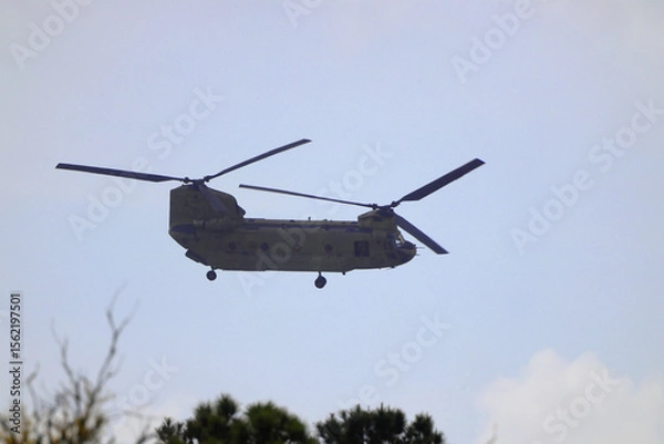 Fototapeta Chinook helicopter in flight over trees. 