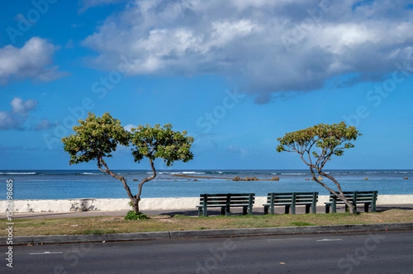 Obraz Green Trees and Benches on a Beachwalk at a Vacant Beach in Honolulu, Hawaii.