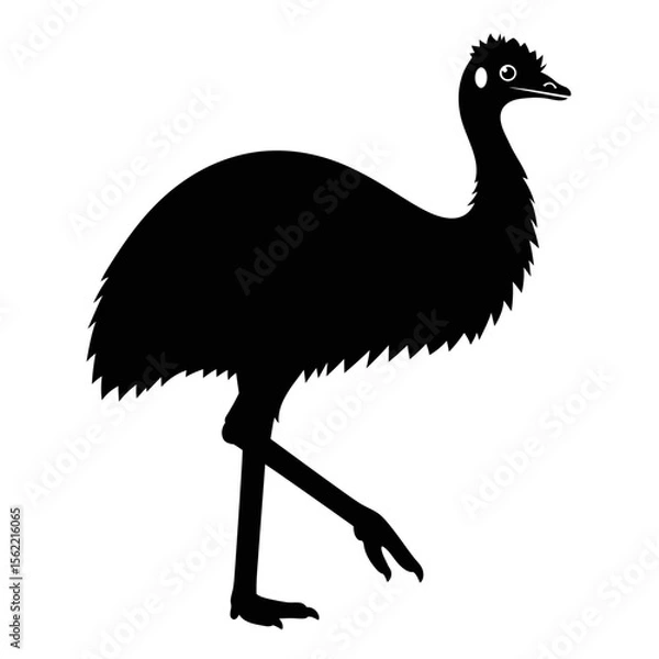 Fototapeta Silhouette of a large flightless bird emu walking