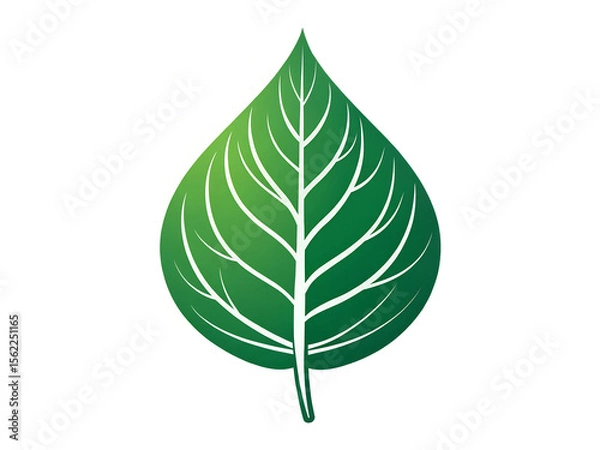Obraz A green leaf with white veins on a white background
