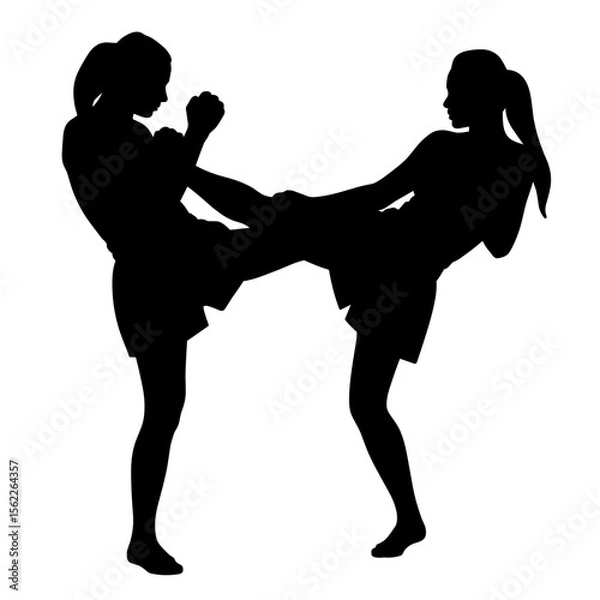 Obraz Silhouette of two women practicing martial arts in dynamic poses  