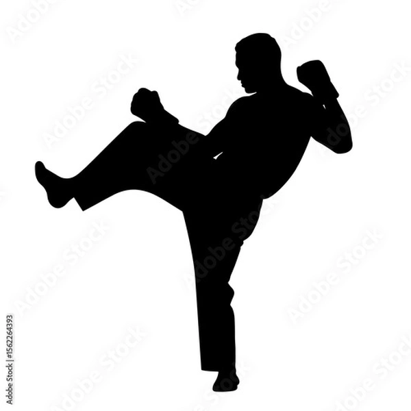 Obraz Silhouette of a man kicking and punching in a fighting stance without background  