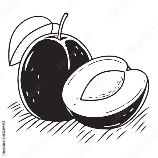 Obraz Adobe Illustrator Artwork plum