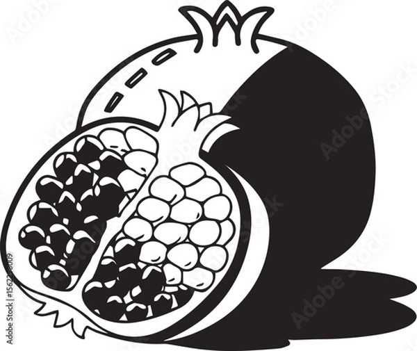 Obraz Adobe Illustrator Artwork  pomegranate