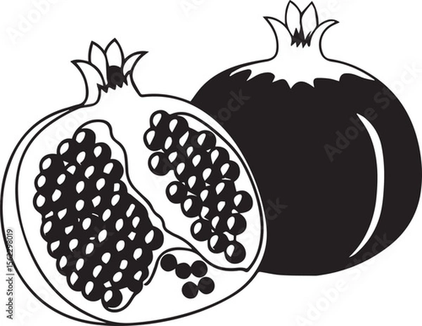 Obraz Adobe Illustrator Artwork pomegranate.