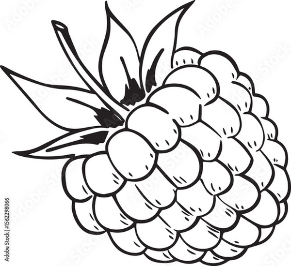 Obraz Adobe Illustrator Artwork raspberry