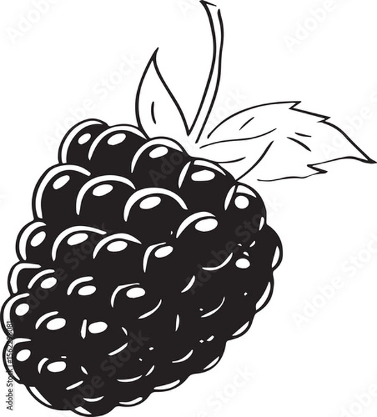 Obraz Adobe Illustrator Artwork raspberry