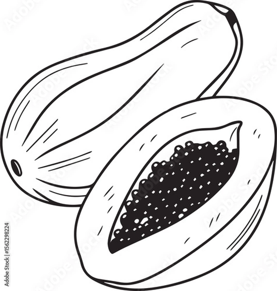 Obraz Adobe Illustrator Artwork Papaya