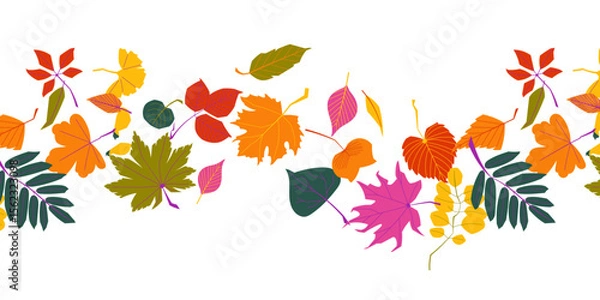 Fototapeta Colorful autumn leaves seamless border pattern with rowan, maple, birch and other fall foliage on white background. Perfect for seasonal decor, packaging and invitations
