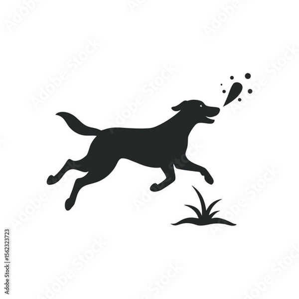 Obraz Dog Fetching Stick By Lake Silhouette