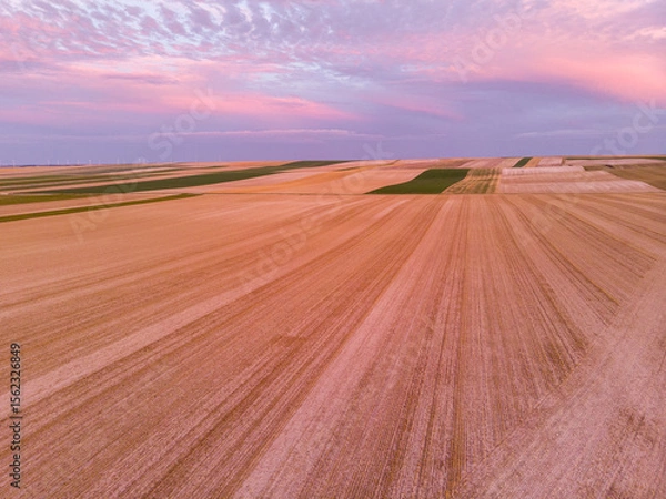 Fototapeta Aerial view of mowed wheat fields with pink clouds in the Champagne region