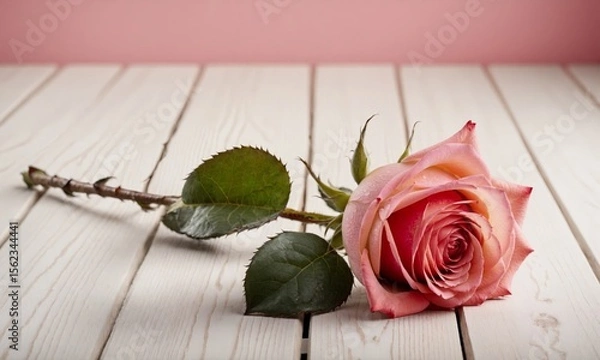 Fototapeta Peach colored rose lying on white rustic wooden planks with pink background, ideal for romantic concepts