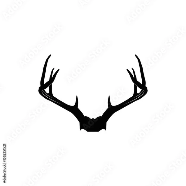 Obraz Deer antlers, mammal, wild animal, wildlife, vector, illustration in black color, isolated on white background