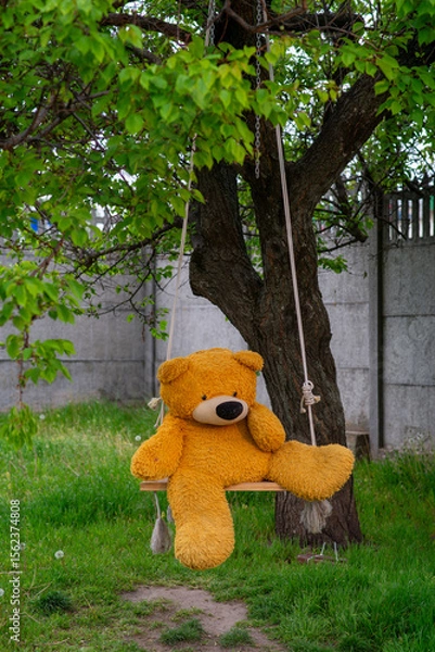 Obraz teddy bear in the garden