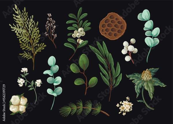 Obraz Vector Christmas botanical set with greenery leaves berries and flowers