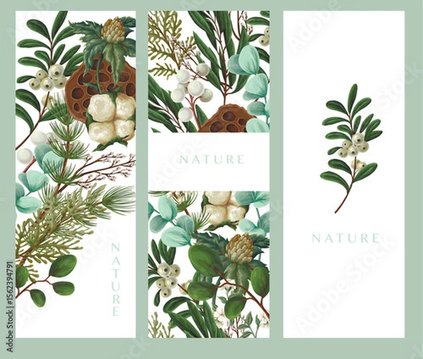 Obraz Vector Christmas botanical cards with cotton leaves berries and greenery